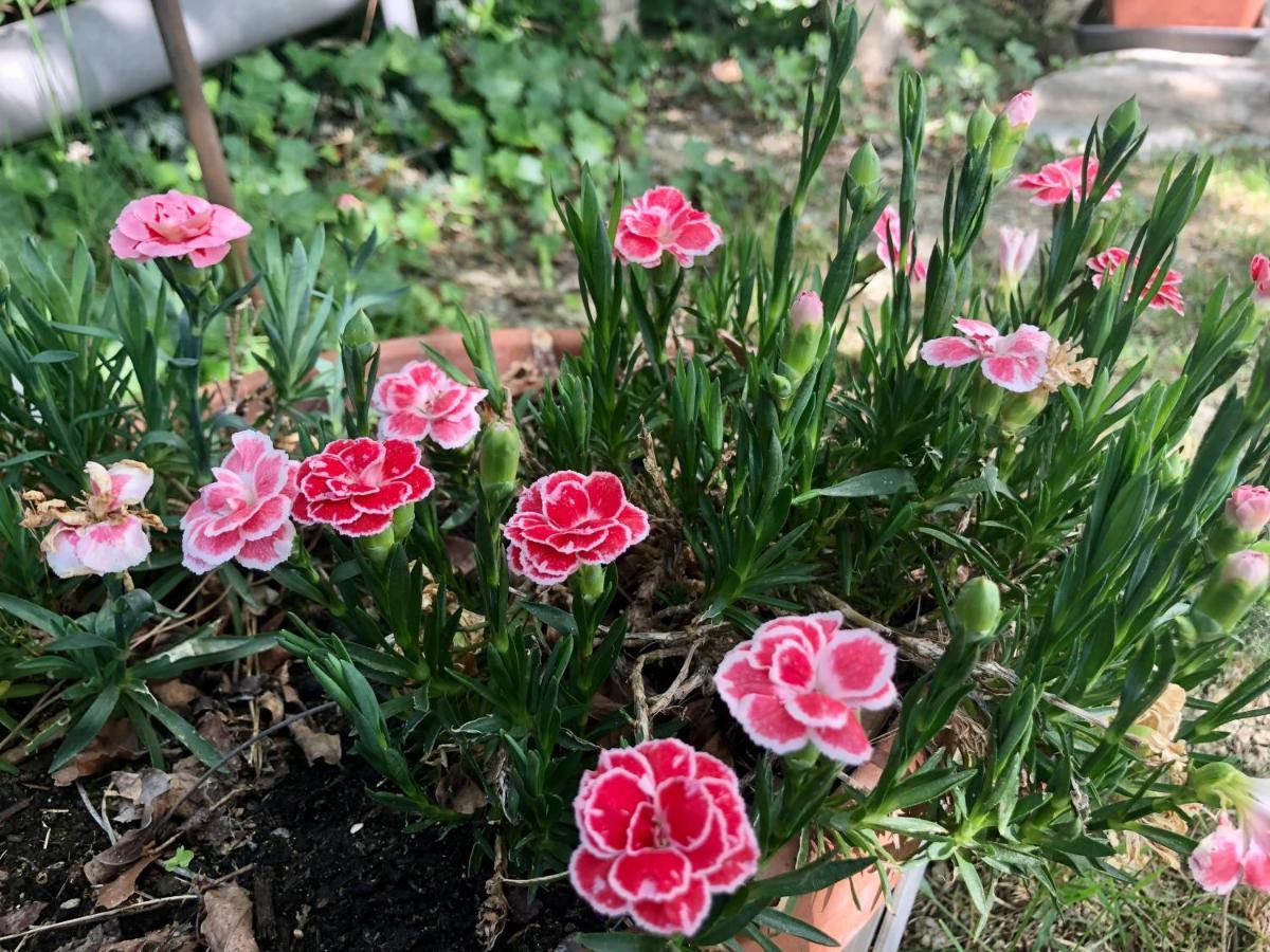 오피다 Casale Fonte Delle Pietre 빌라 외부 사진