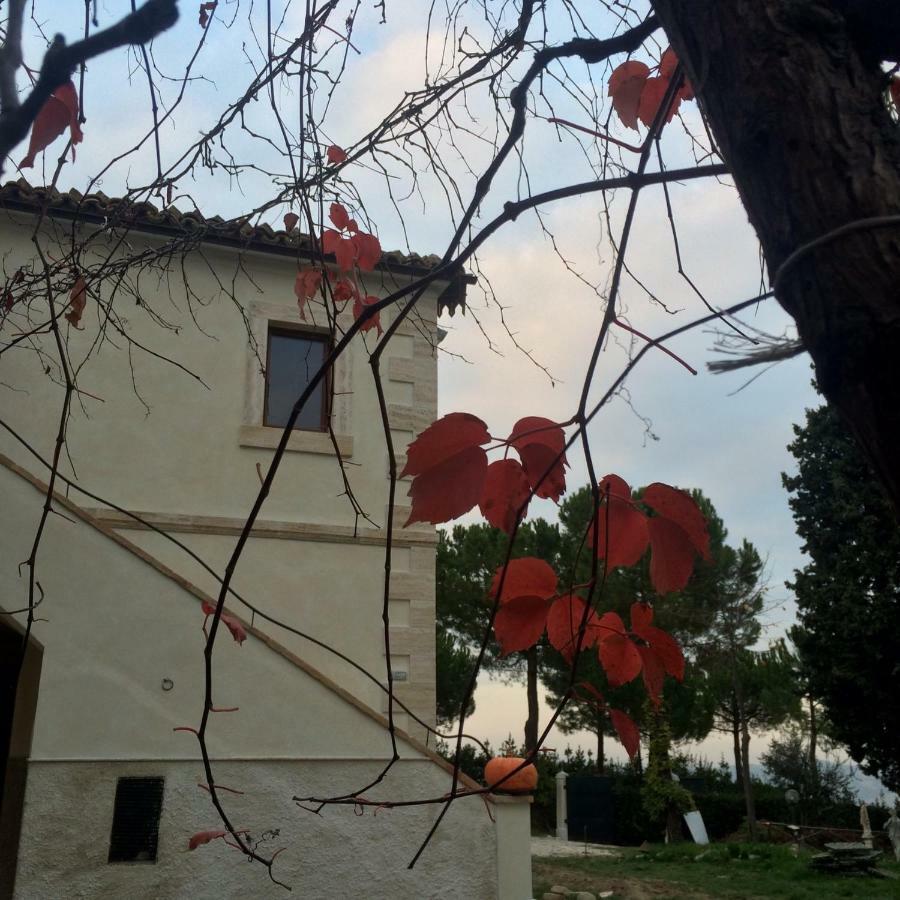 오피다 Casale Fonte Delle Pietre 빌라 외부 사진