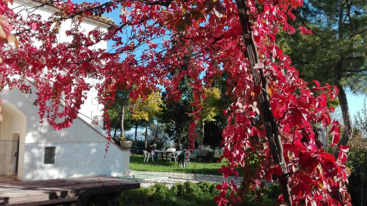 오피다 Casale Fonte Delle Pietre 빌라 외부 사진